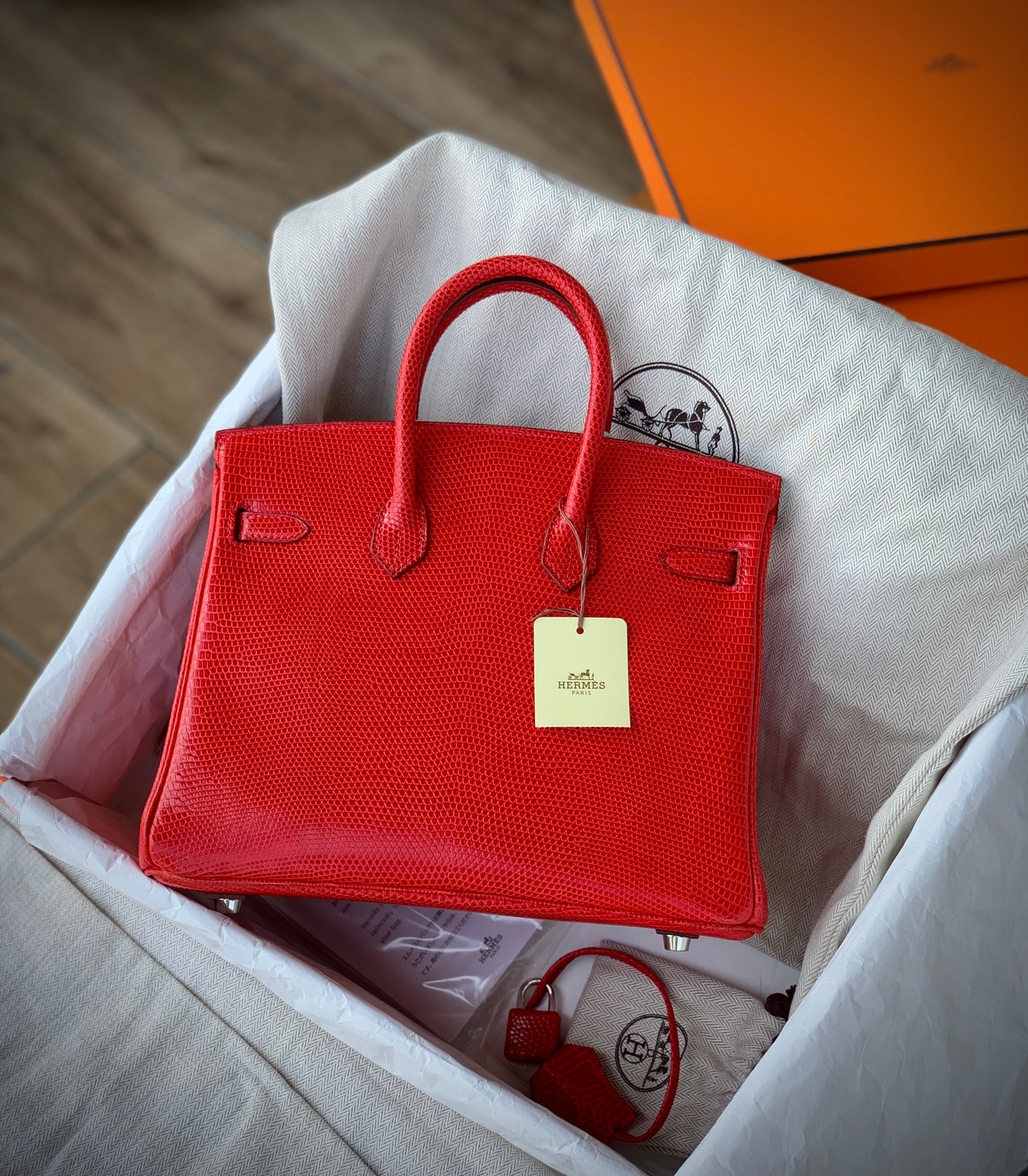 Hermès Birkin 25 Lizard